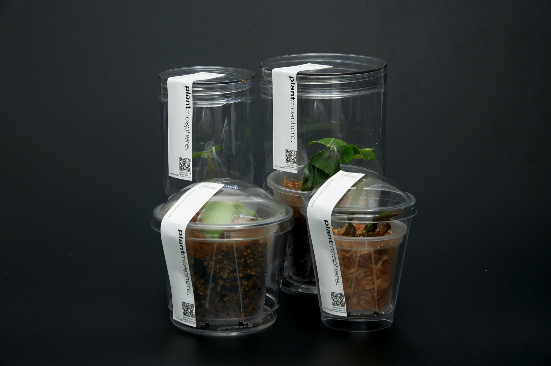 plantmosphere. 패키지