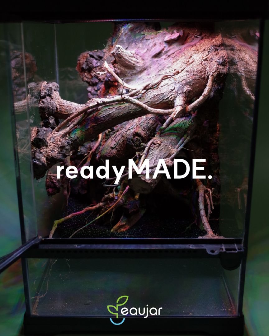 readyMADE. Moss Hollow