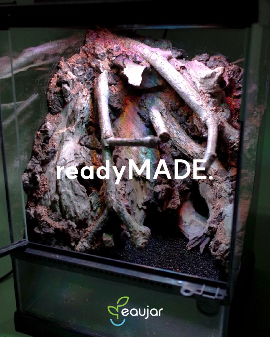 readyMADE. Lagoon