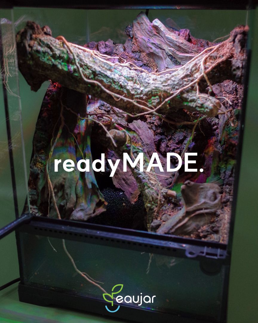 readyMADE. Dewfall