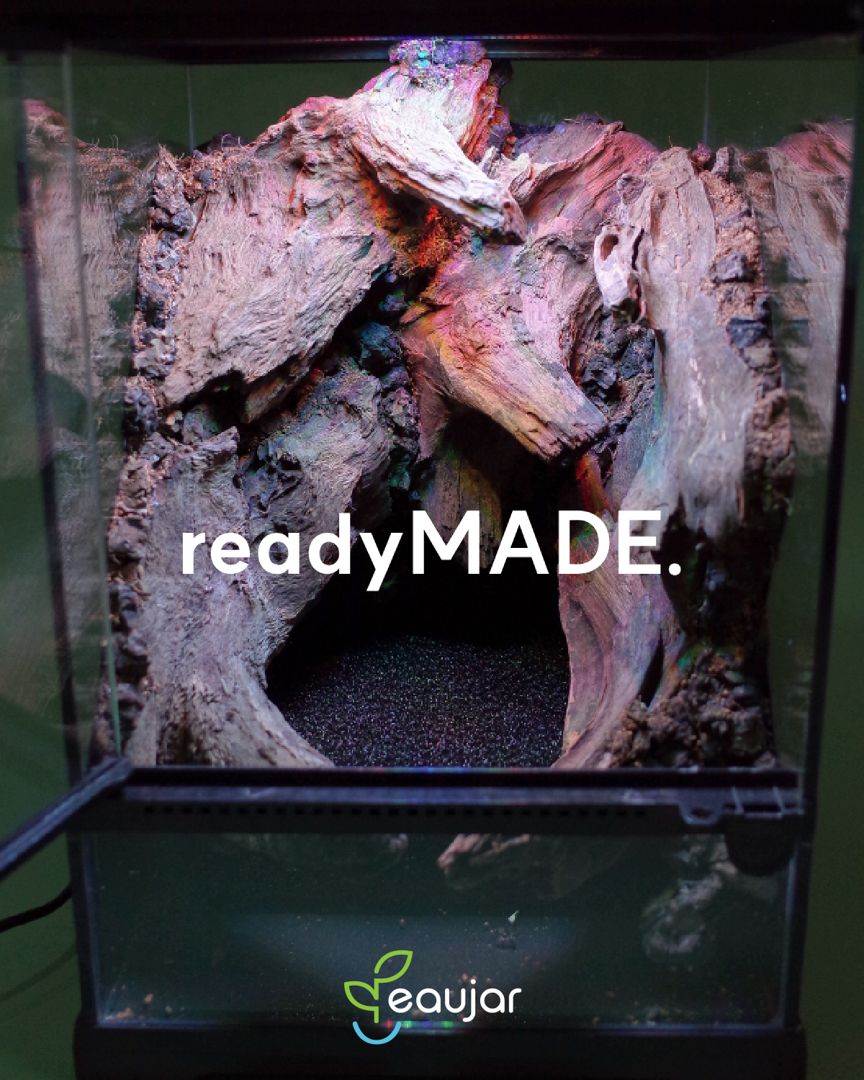 readyMADE. Canyon